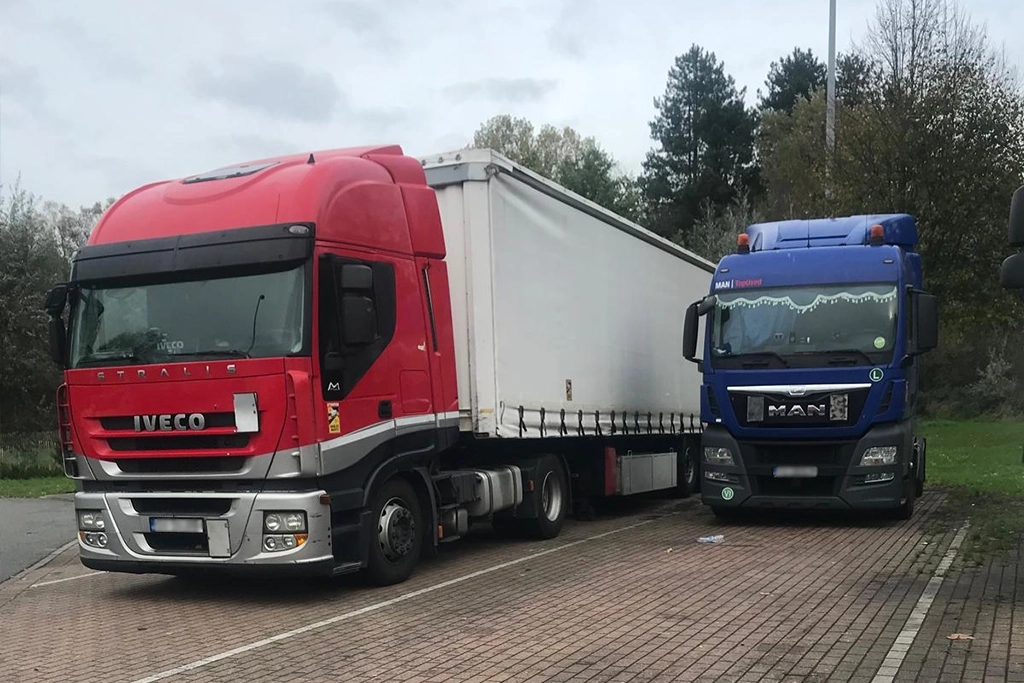 o mica parte din flota de transport a firmei Frank Sinatra Srl